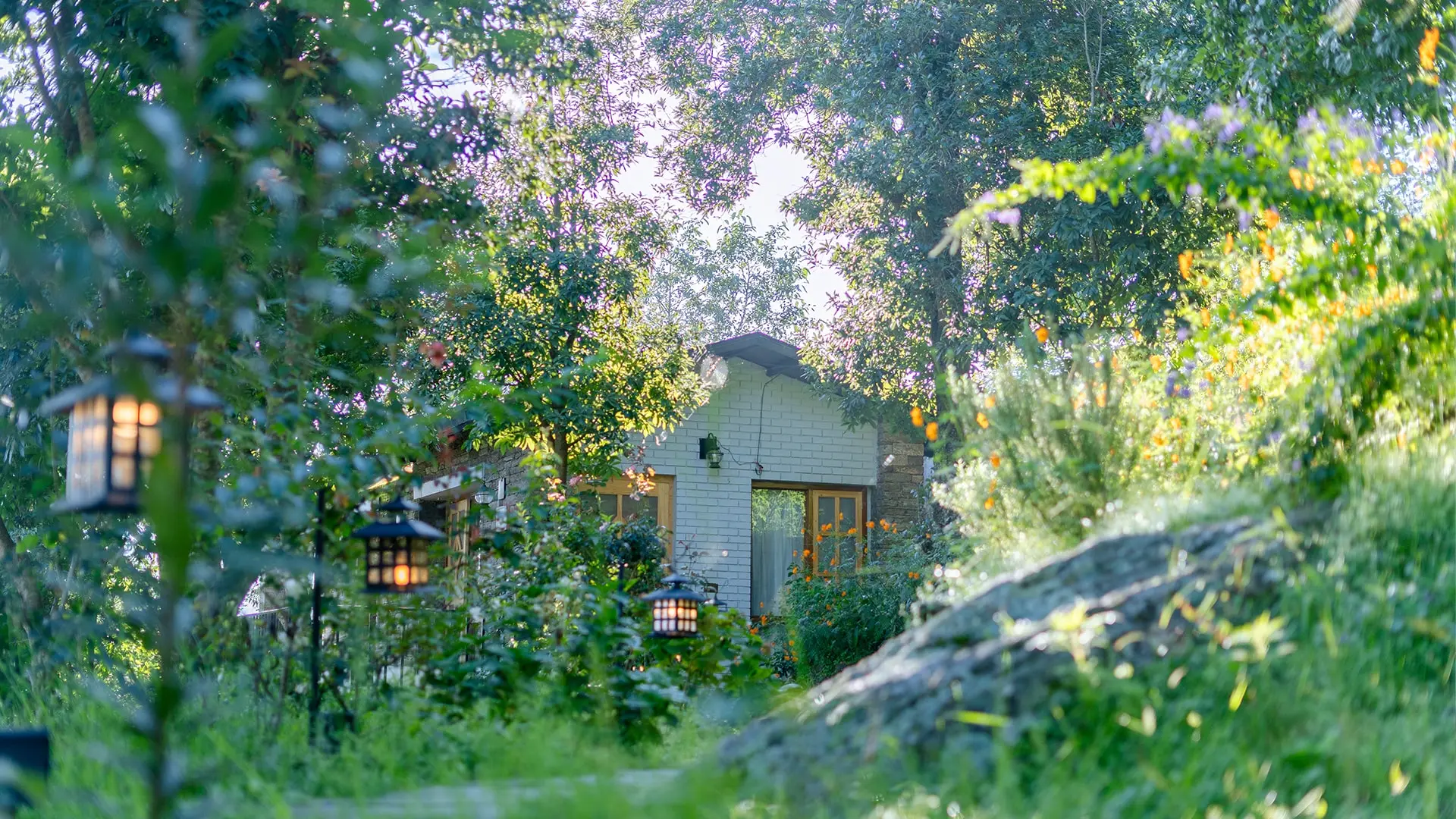 The Forest Stillness -0