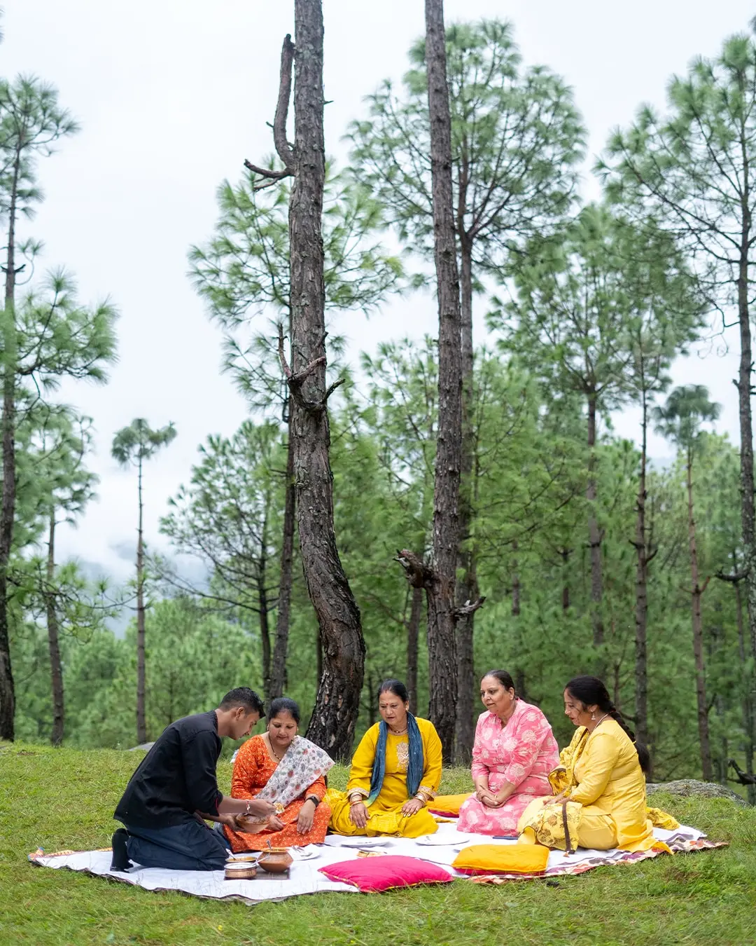 The Forest Stillness