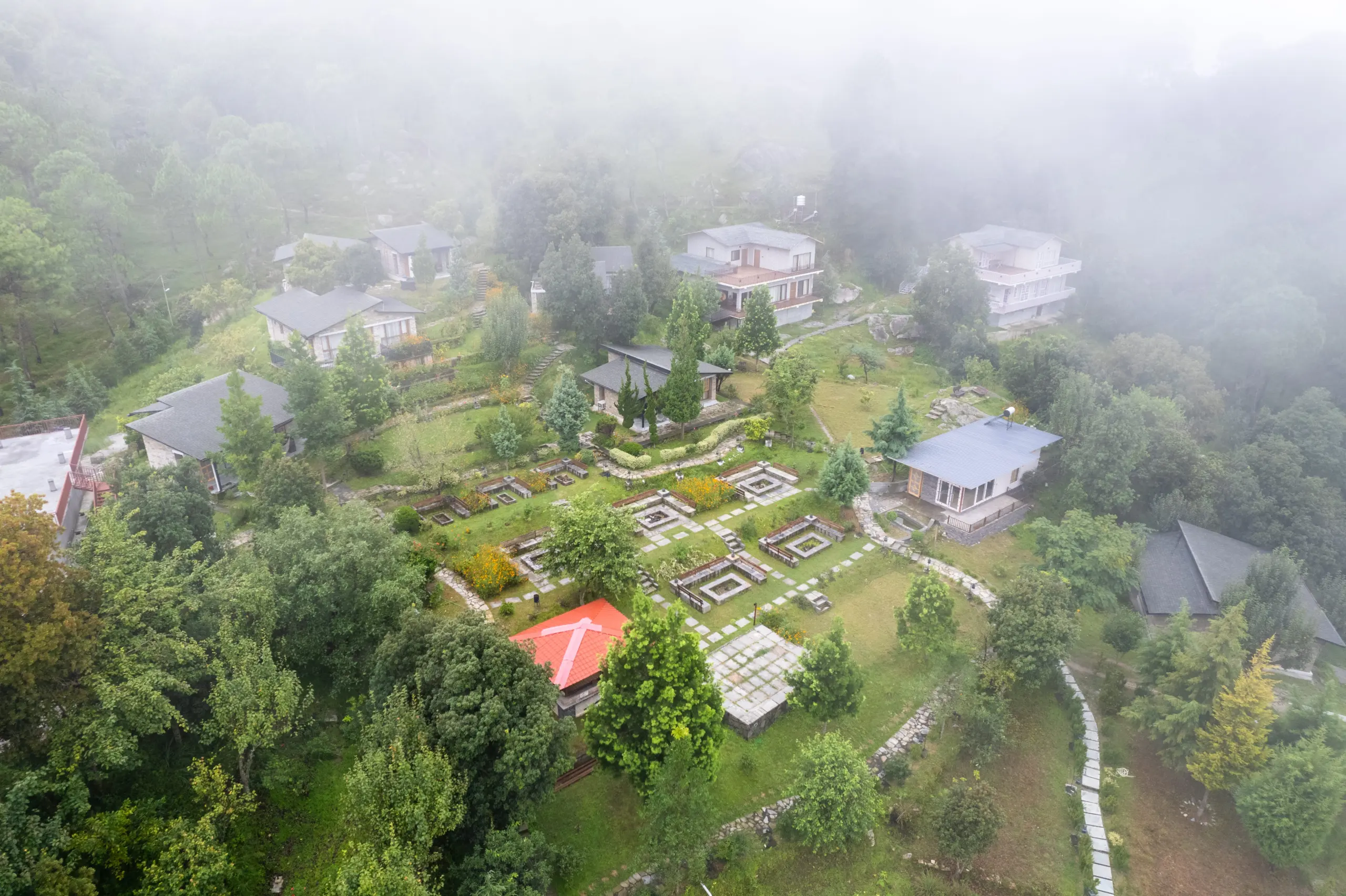 The Forest Stillness 1