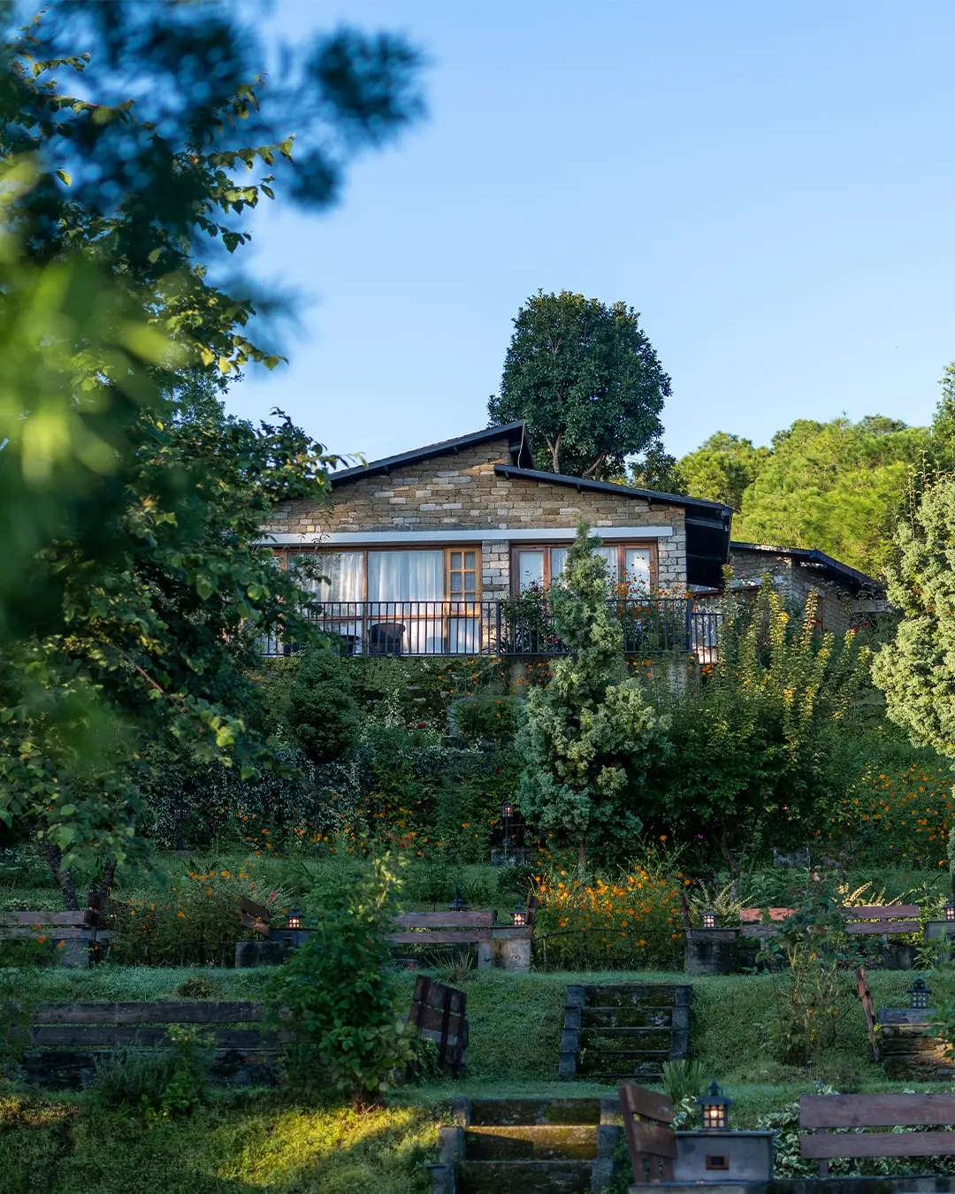 The Forest Stillness