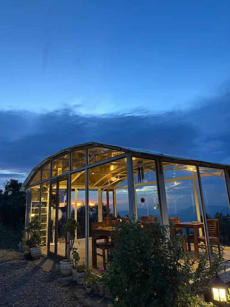 The Marigold Courtyard