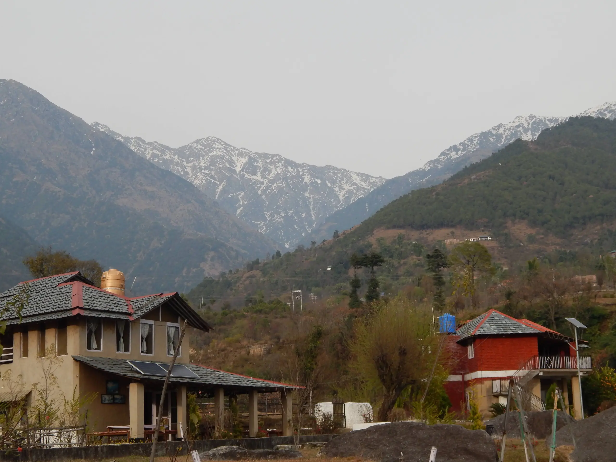 The Mud & Meadow Hideaway 1