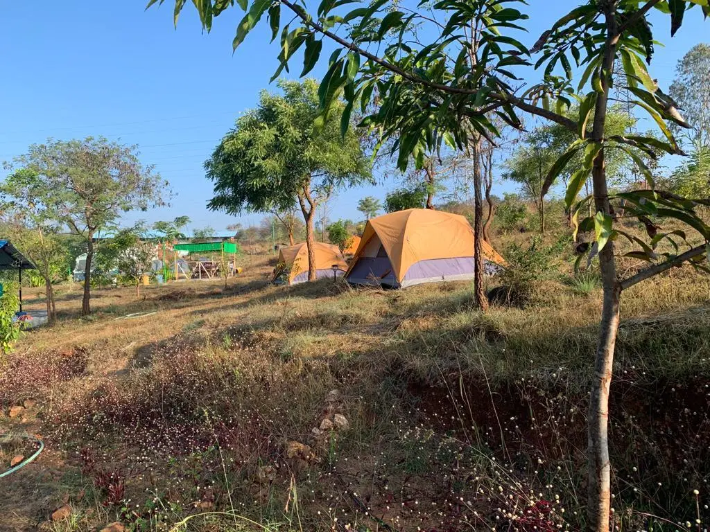 Camp Wildroot – Karnataka 4